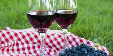 Pravilna priprema domaćeg vina od grožđa isabella